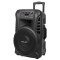Boxa Azusa TN12 12&quot; activa