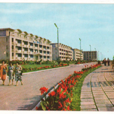 CPIB 18134 CARTE POSTALA - MANGALIA. PE FALEZA, RPR