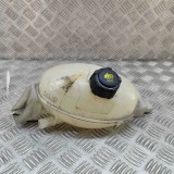 Vas de expansiune RENAULT MASTER III Furgon FV 2020 OEM: 217100015R 25107150