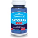Articular Stem 60cps