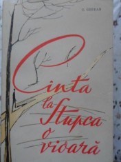 CANTA LA STUPCA O VIOARA-C. GHIBAN-230079 foto