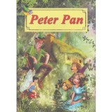 Cumpara ieftin Carte Peter Pan. Poveste Ilustrata A4 J.M.Barrie Roxel Cart 2019 Capsata Romana
