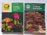 CIUPERCILE IN NATURA SI IN VIATA OMULUI - VALERIA BARBU + CULTURA BURETILOR- ...