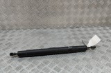 Amortizor haion st&acirc;nga BMW X6 E71, E72 2010 OEM: 7201939 29015506