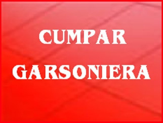 Cumpar Garsoniera foto