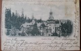 Carte postala, Sinaia Castelul Peles, 1900