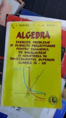 ALGEBRA EXERCITII PROBLEME SI SUBIECTE PREGATITOARE CLASELE IX- XII NEDITA , RADOI