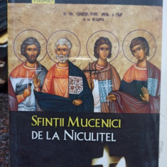 Silvan Theodorescu - Sfintii Mucenici de la Niculitel (editia 2018)