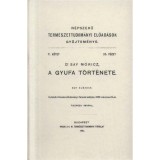 A gyufa t&ouml;rt&eacute;nete - Say M&oacute;ricz