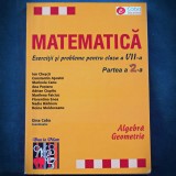 MATEMATICA - EXERCITII SI PROBLEME - CLASA A VII-A - ION CHESCA