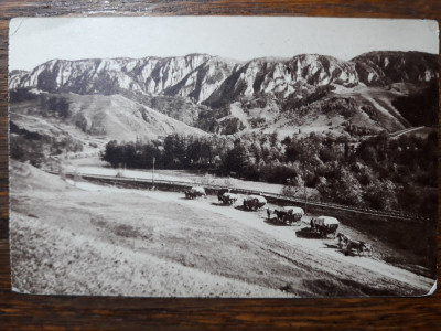 VALEA ARIESULUI - MUNTII APUSENI - ZONA COMUNEI SALCIUA - CARUTE DE MOTI foto