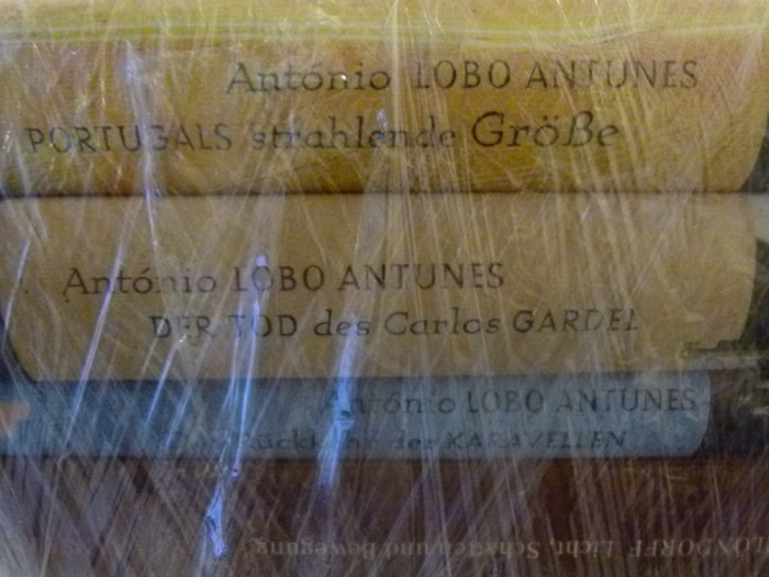 Der Rucker der Karavellen - Antunes