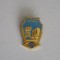 QW9 N4 55 - insigna - orase - Kolomna - Rusia
