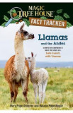 Llamas and the Andes: A Nonfiction Companion to Magic Tree House #34: Late Lunch with Llamas - Mary Pope Osborne, Natalie Pope Boyce