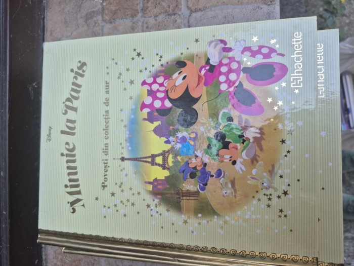 Minnie la Paris