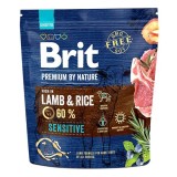 Cumpara ieftin Brit Premium by Nature Sensitive Lamb, 1 kg