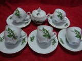 SET / SERVICIU CEAI DIN PORTELAN CEHOSLOVAC
