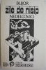Zile de nisip &ndash; Bujor Nedelcovici - Roman Beletristica