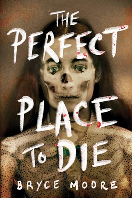 The Perfect Place to Die foto