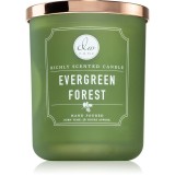 DW Home Signature Evergreen Forest lum&acirc;nare parfumată 445 g