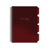 Caiet cu Spirala si Separatoare Strigo Pads Project Book Basic B5, Matematica, Maro
