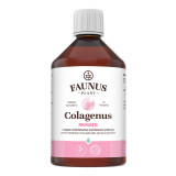 Colagen lichid pentru piele unghii si par Colagenus Frumusete, 500ml, Faunus Plant