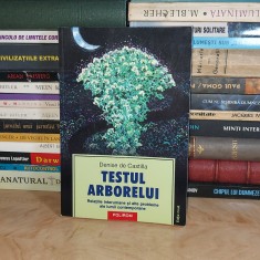 DENISE DE CASTILLA - TESTUL ARBORELUI_ RELATIILE INTERUMANE , 2004 *