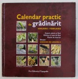 CALENDAR PRACTIC DE GRADINARIT - IANUARIE / FEBRUARIE - GRADINA DE LEGUME II de MICHELE LAMONTAGNE si CHRISTIAN PESSEY , 2004