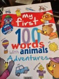 My first 100 words Adventures (Primele mele 100 de cuvinte - carte in limba engleza)