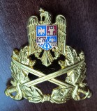 QW14 - Emblema militara / cuc - Uscat - piesa de colectie