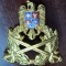 QW14 - Emblema militara / cuc - Uscat - piesa de colectie