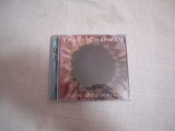CD original: TRACY CHAPMAN - New Begining (1996), Stare foarte buna