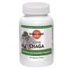 Super Chaga Mushroom Wisdom 120 tablete vegetale Secom