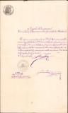 HST A272 Act 1883 semnat olograf președinte Comitet Permanent Vaslui Ioan Iancu
