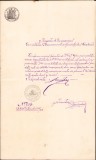 HST A272 Act 1883 semnat olograf președinte Comitet Permanent Vaslui Ioan Iancu