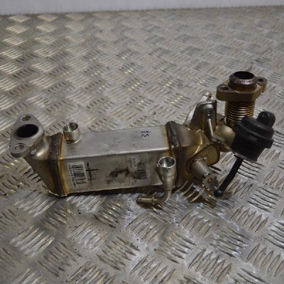 Răcitor EGR BMW 3 E90 2008 OEM: RL05502X9002-0AC08367 1770433 foto