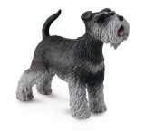 Caine Schnauzer M - Animal figurina, Collecta