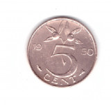 Moneda Olanda 5 cent/centi 1950, stare buna, curata, Europa, Bronz
