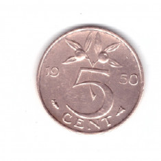 Moneda Olanda 5 cent/centi 1950, stare buna, curata