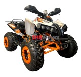 ATV Renegate 200 Roata pe 10&amp;quot; model 2020