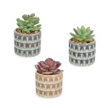 Cumpara ieftin Set 3 plante suculente artificiale in ghiveci ceramica &Oslash;7x11h