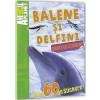 Carte Stickere Balene si Delfini, Mediadocs, Miles Kelly, Activitati Extracurriculare, Coperta Brosata, 20 pagini