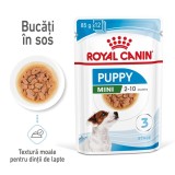 Royal Canin Mini Puppy hrana umeda caine junior (in sos), 1 plic 85 g