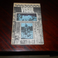 Visul - Mircea Cartarescu, Editura Cartea Romaneasca, 1989 ED. I a- Nuvele