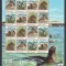 Falkland 2011 - Fauna WWF - LEI DE MARE - Bloc XXL - 16 val. - MNH