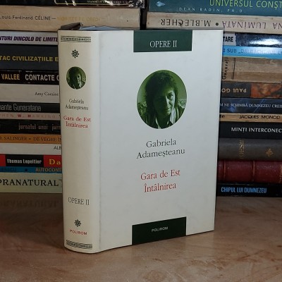GABRIELA ADAMESTEANU - OPERE * VOL. 2 :GARA DE EST_INTALNIREA ,2008 (CARTONATA)* foto