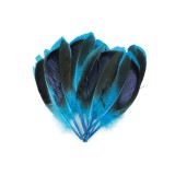 Set 20 pene decorative rata, lungime 10 - 13 cm, Negru turcoaz