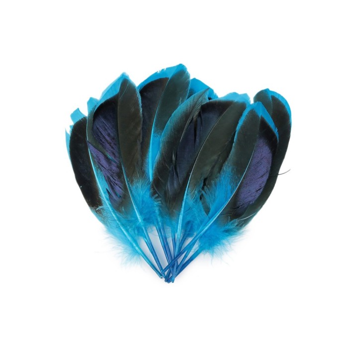 Set 20 pene decorative rata, lungime 10 - 13 cm, Negru turcoaz