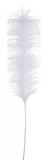 Set 24 pene artificiale albe 6x90 cm
