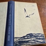 Pasarea furtunii - Petru Dumitriu